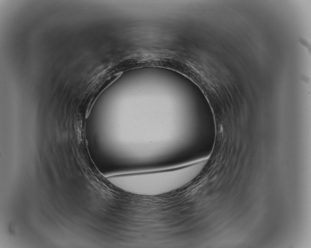 X0000096721348200802051051