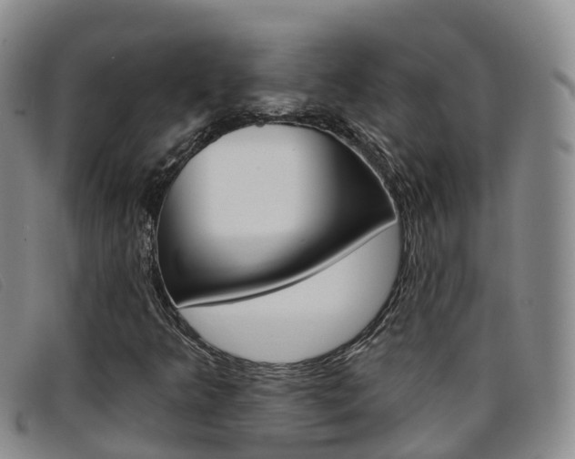 X0000096721349200802051051