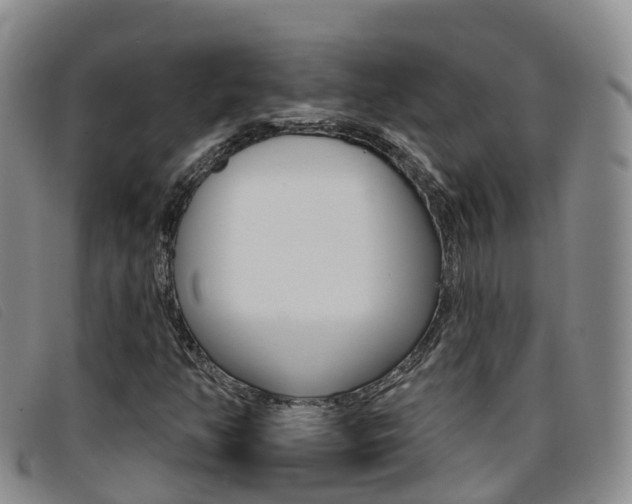 X0000096721350200802051051