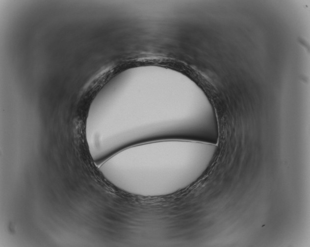 X0000096721351200802051051