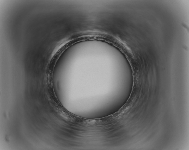X0000096721352200802051051