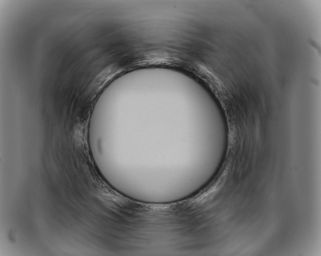 X0000096721353200802051051