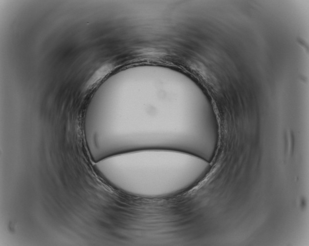 X0000096721354200802051051
