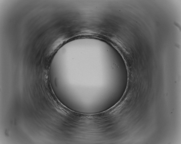 X0000096721355200802051051