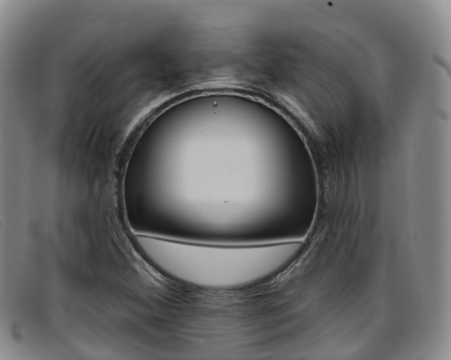 X0000096721356200802051051