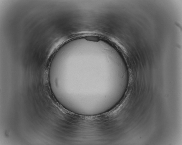X0000096721357200802051051