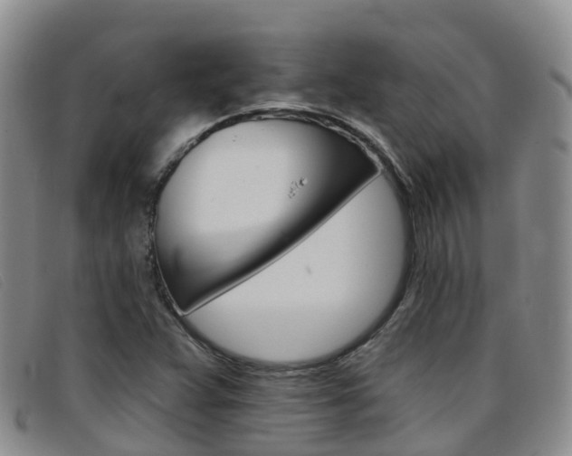 X0000096721359200802051051