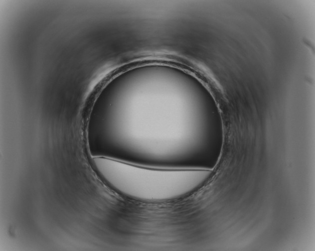 X0000096721360200802051051