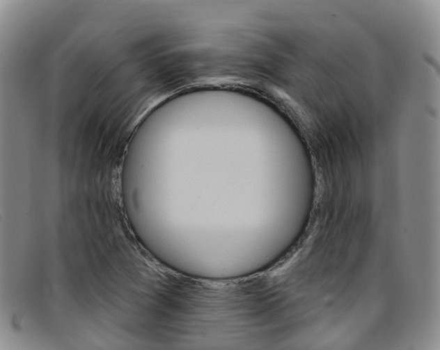 X0000096721361200802051051