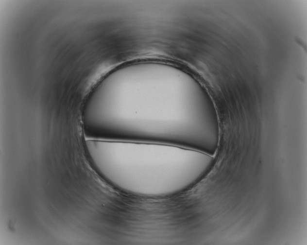 X0000096721363200802051051