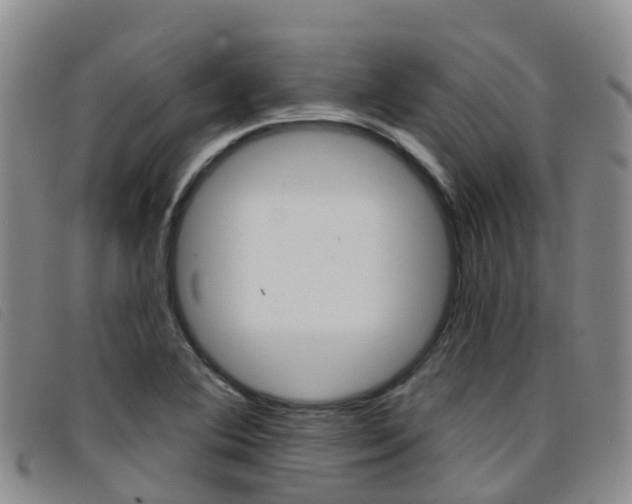 X0000096721364200802051051