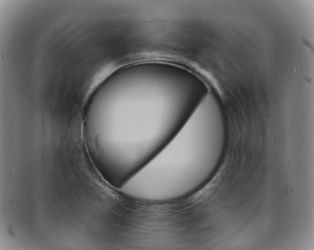 X0000096721365200802051051