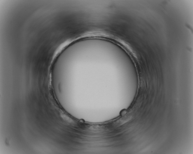 X0000096721366200802051051