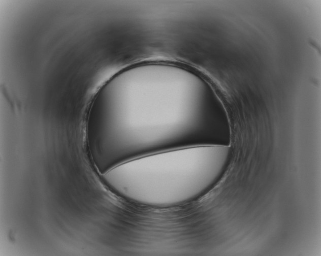 X0000096721367200802051051