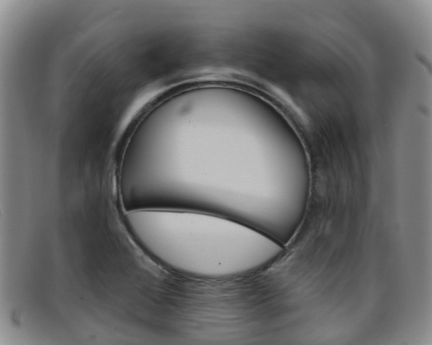 X0000096721368200802051051