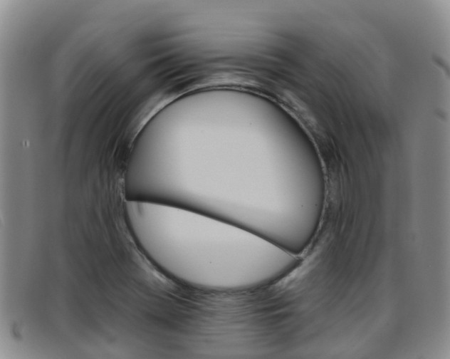 X0000096721369200802051051