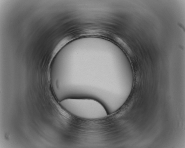 X0000096721370200802051051