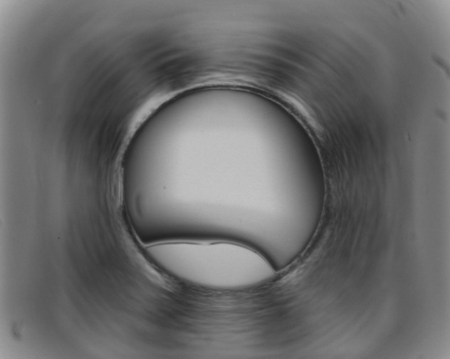 X0000096721371200802051051
