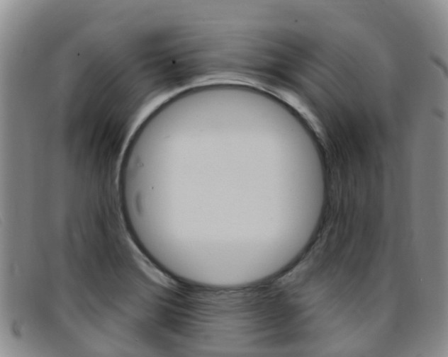 X0000096721372200802051051