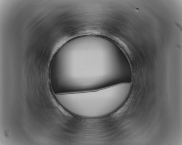 X0000096721373200802051051