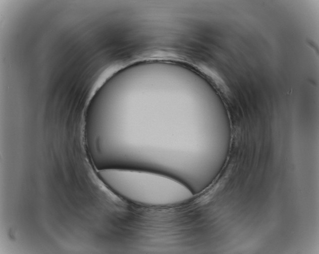 X0000096721374200802051051