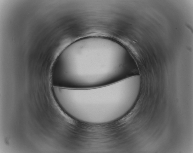 X0000096721375200802051051