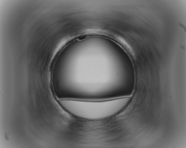 X0000096721376200802051051