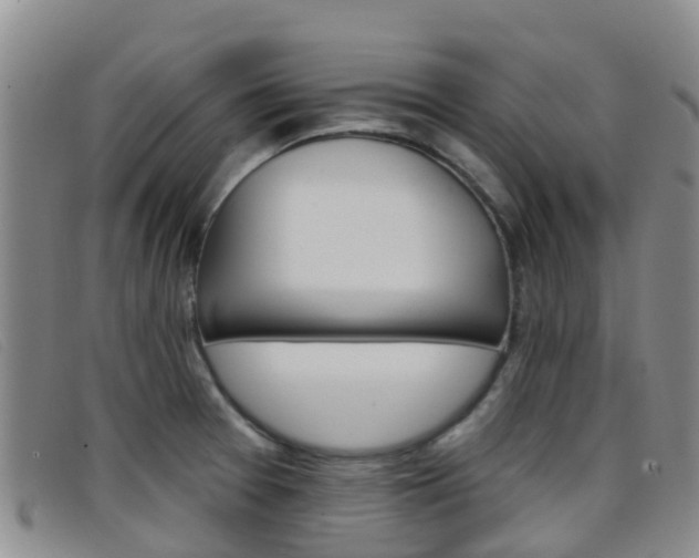 X0000096721377200802051051