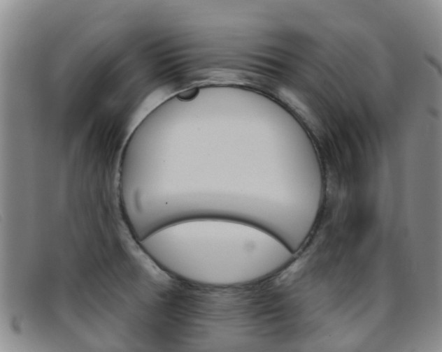 X0000096721378200802051050