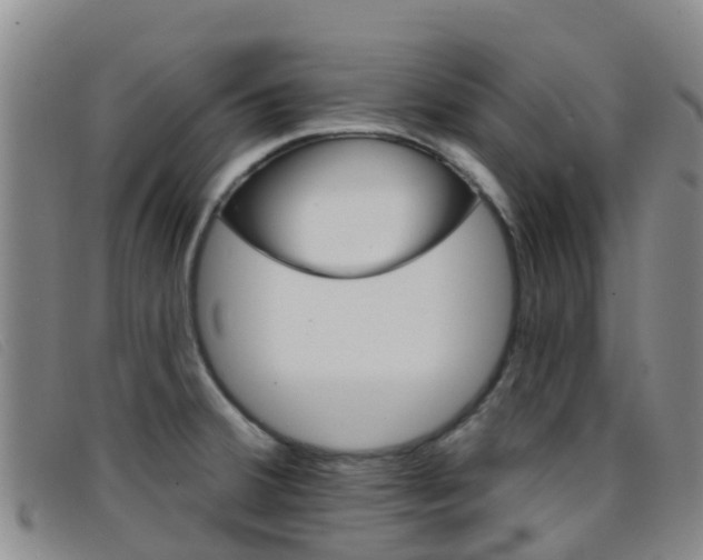 X0000096721380200802051050