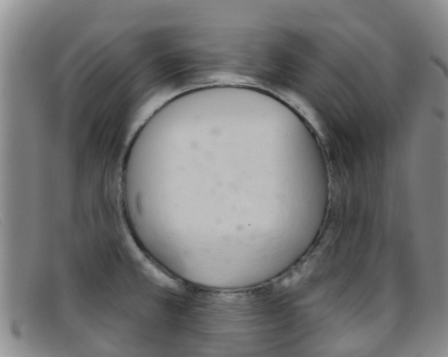 X0000096721381200802051050