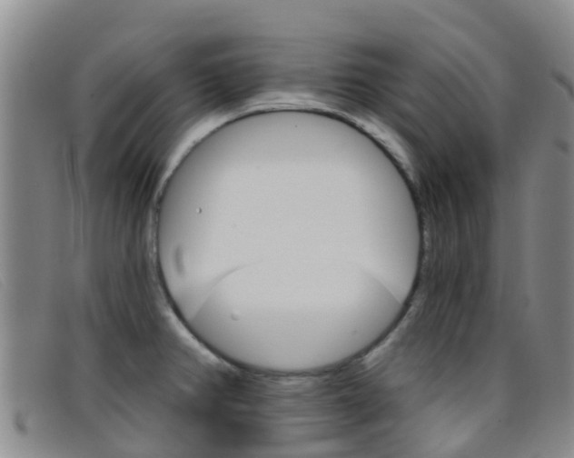 X0000096721382200802051050