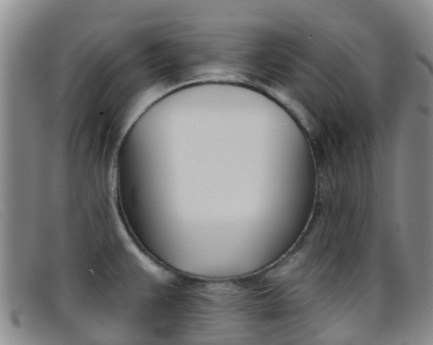 X0000096721383200802051050
