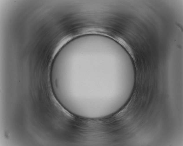 X0000096721384200802051050