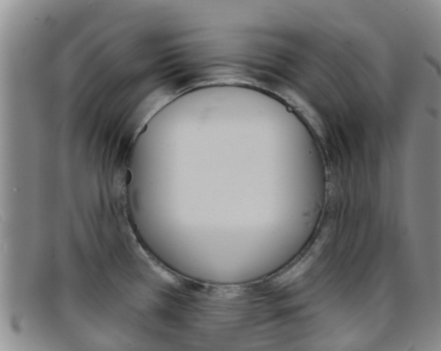 X0000096721385200802051050