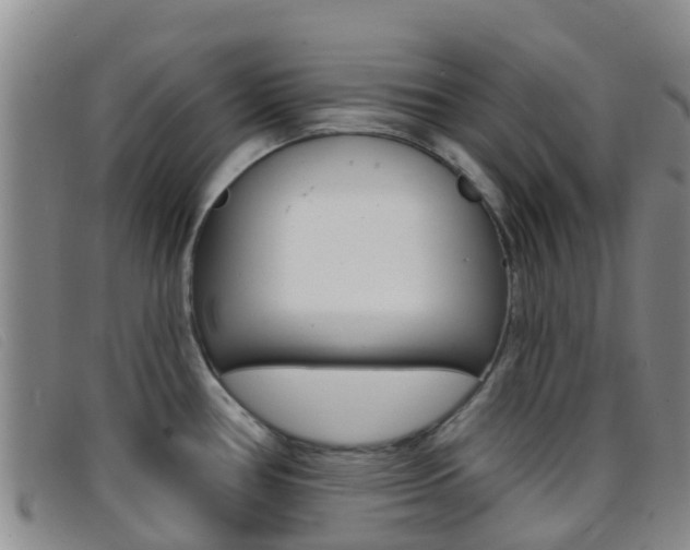 X0000096721386200802051050