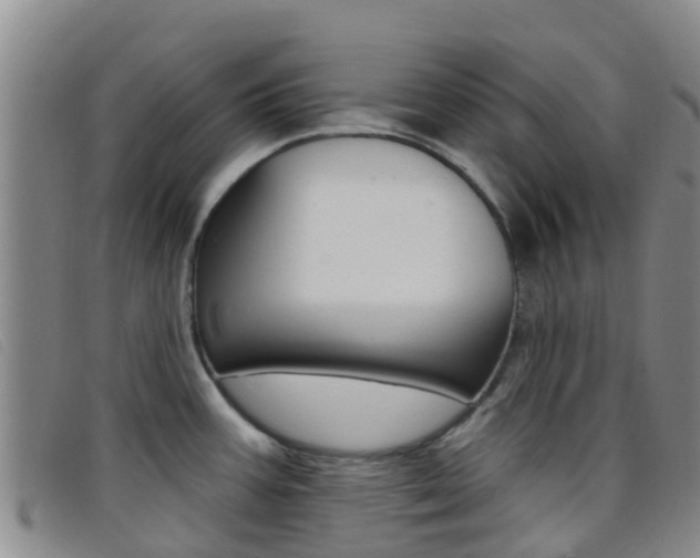 X0000096721387200802051050