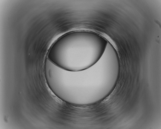 X0000096721388200802051050
