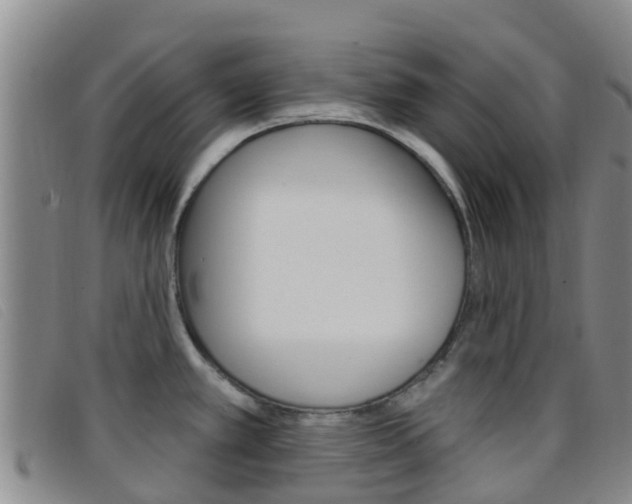 X0000096721389200802051050