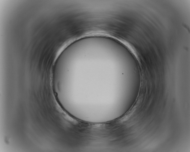 X0000096721390200802051050
