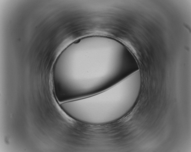 X0000096721391200802051050