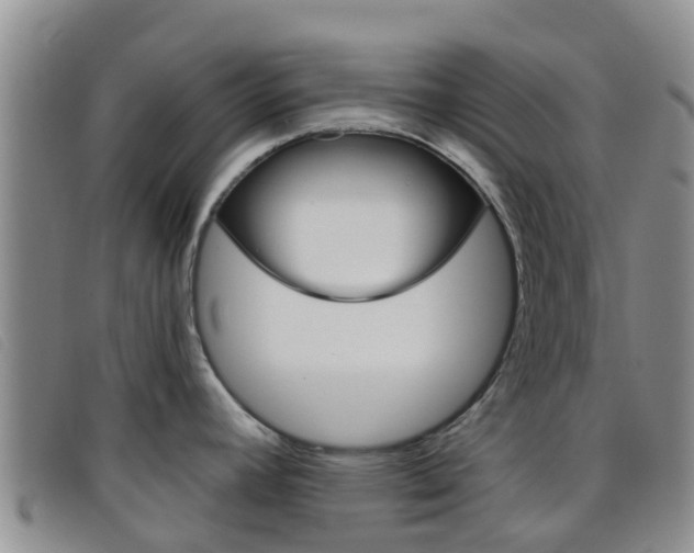 X0000096721392200802051050