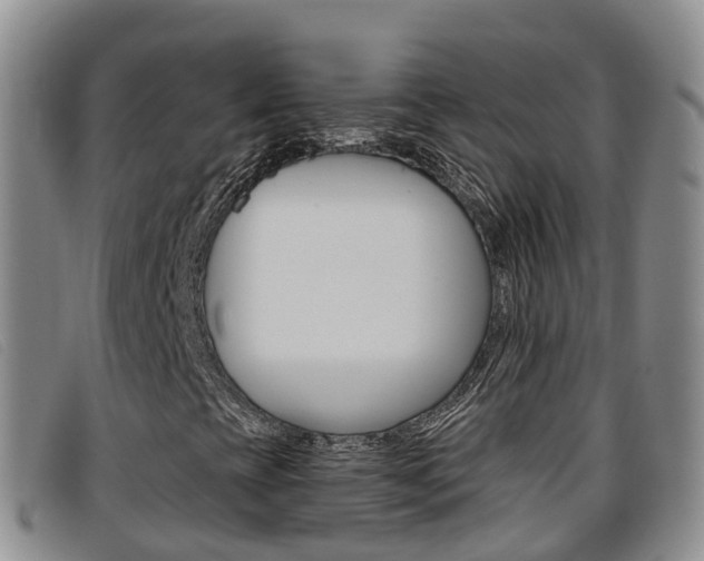 X0000096721393200802051049