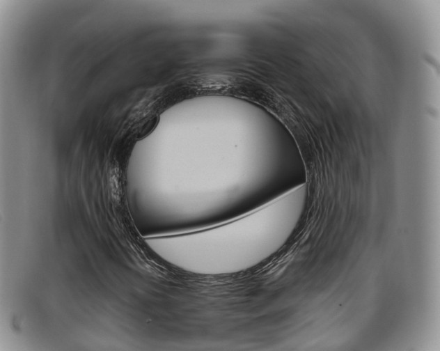 X0000096721394200802051049
