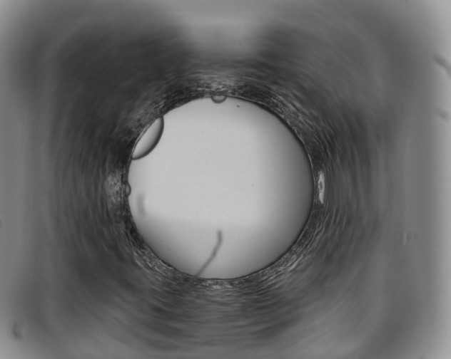 X0000096721395200802051049