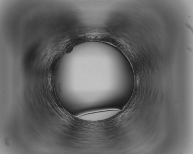 X0000096721396200802051050