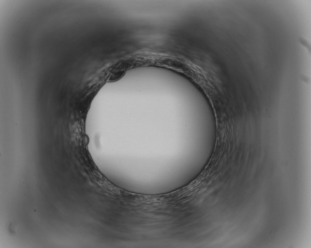 X0000096721397200802051050