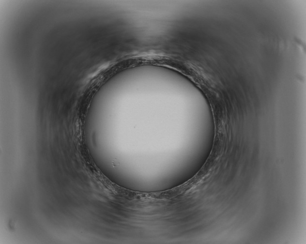 X0000096721398200802051050