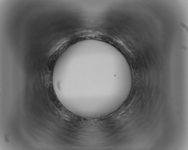 X0000096721399200802051050