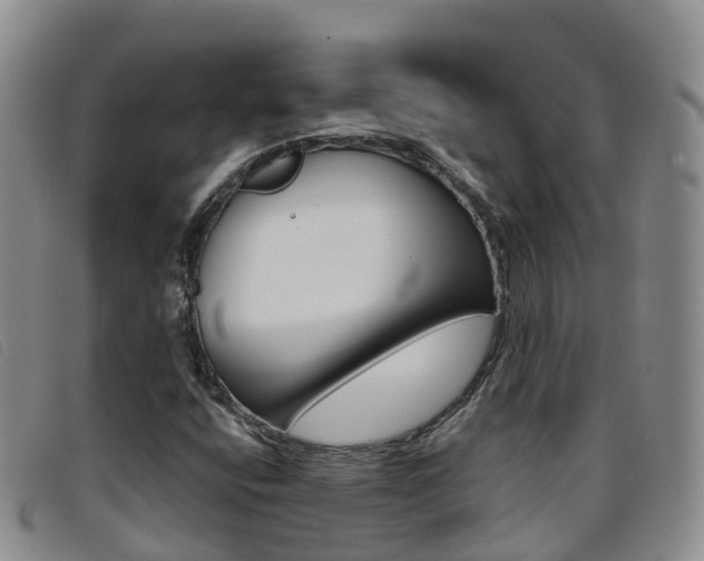 X0000096721400200802051050